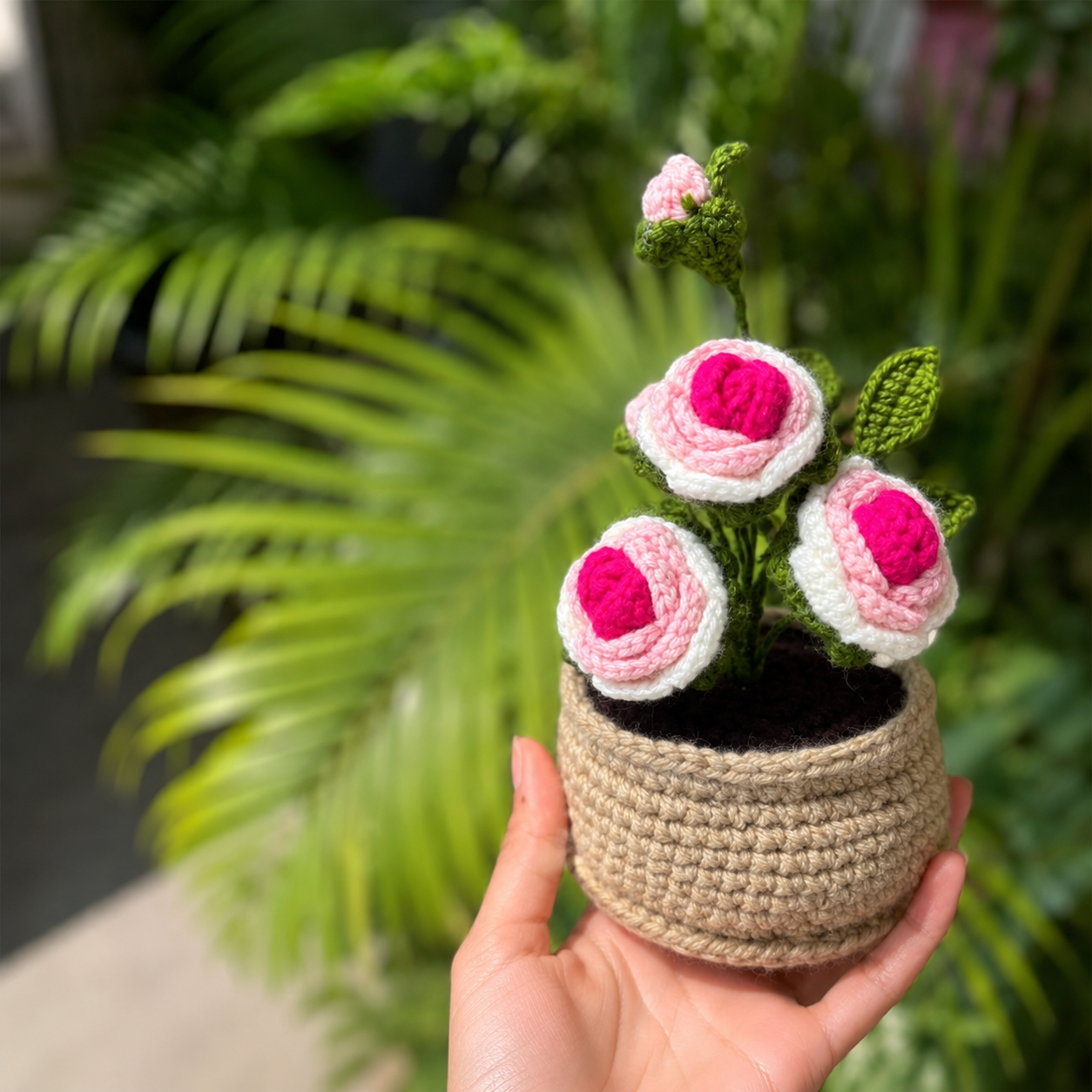 Rosette Pink Crochet Flower Plant
